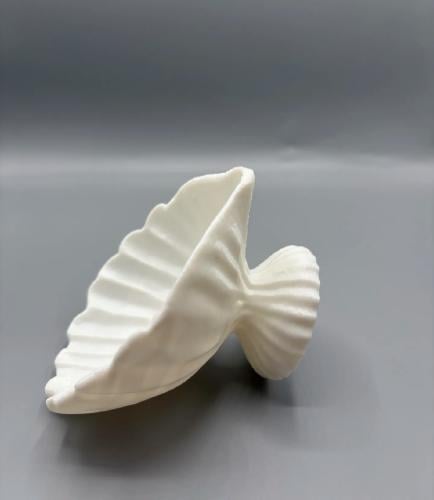 طبق صدفة ديكوري لحفظ الإكسسوارات