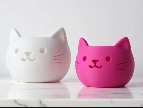 أصيص القطة اللطيفة