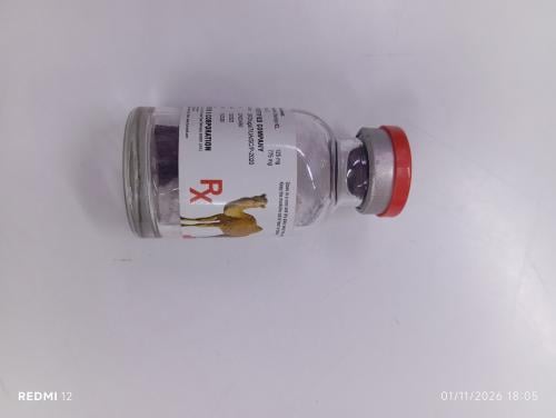 تريبانوفورت trypanoforte