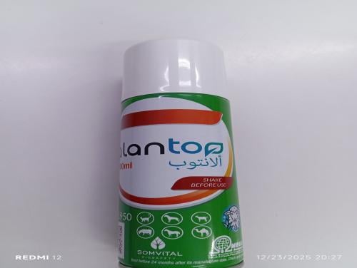 ألانتوب بخاخ جروح alantop200ml