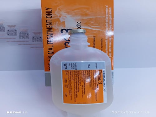 جلانفاك 3 250مللglanvac 3
