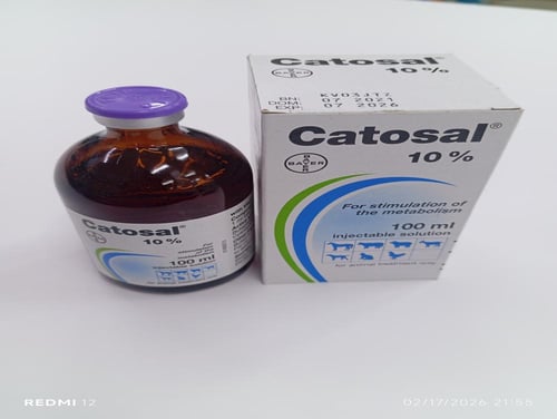 كاتوزال حقن 100مللcatosal