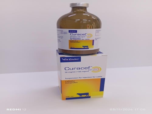 كيوراسيف100ملل حقنcuracef 100ml