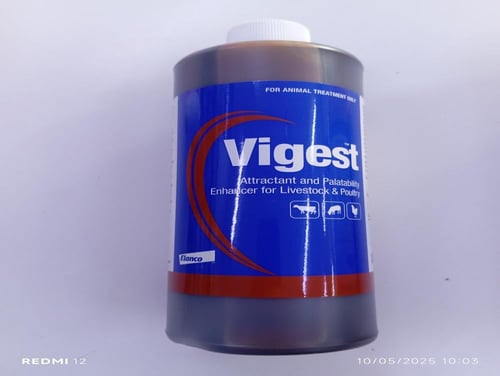 فايجست 500مللVigest