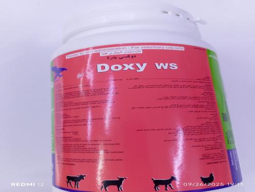 دوكسى هولندى 20% واحد كيلو Doxy 20%