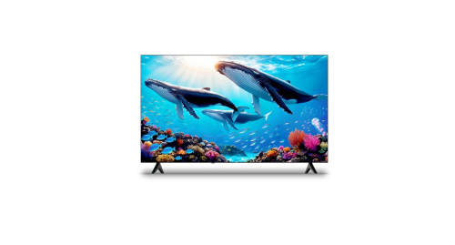 جولدتك شاشة 55 بوصة (QLED) بدقة (4K-UHD) بنظام Wha...