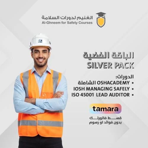 الباقة الفضية