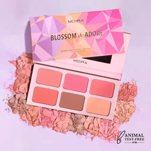 مجموعة احمر الخدود 6 ألوان BLOSSOM &ADORE HSP003