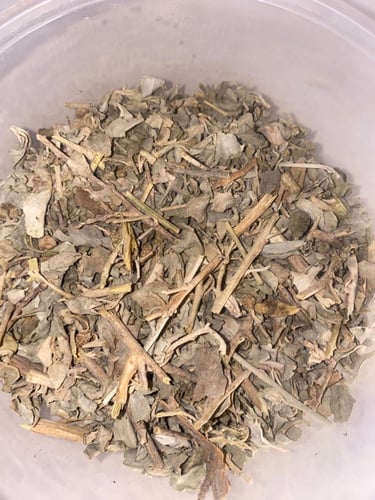 عشبه القطف المالح