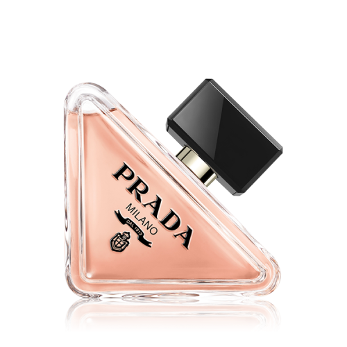 برادا بارادوكس