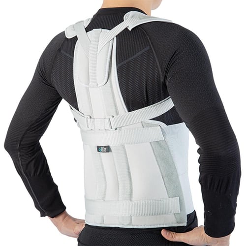 WA113-Dorsal Lumbar Back Suppor WA113-داعم الظهر ا...