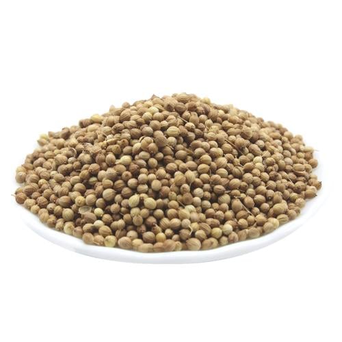 كزبرة حب
