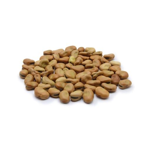 فول بلدي مصري