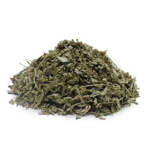 عشبة الزيزفون