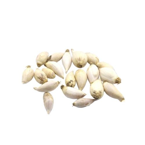 ثوم ذكر يمني.