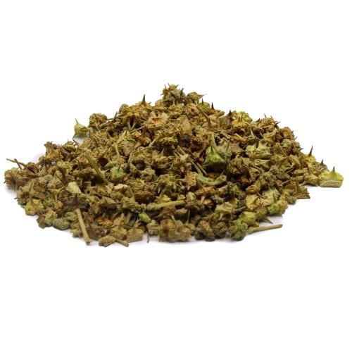 حسك - شوك القطبة