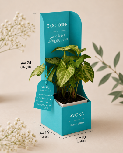 توزيعات نبتة البوتس (Pothos)