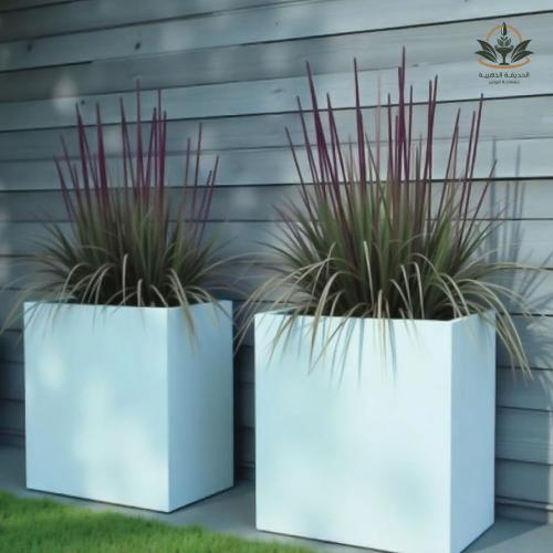 حوض للزراعة ارتفاع كبير