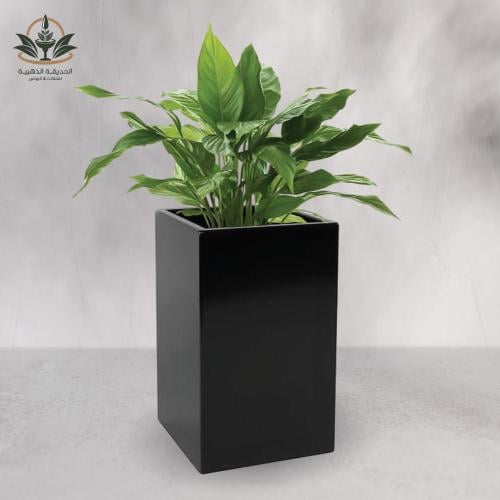 مركن مناسب لزراعة الاشجار 65سم