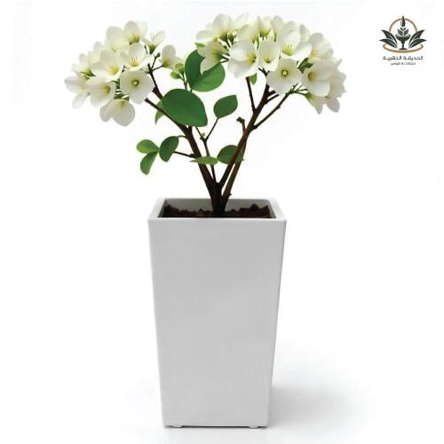 مركن الأشهر لزراعة الأشجار 80سم