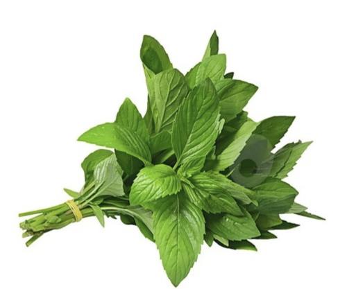 ورقيات نعناع ثلاث حبات