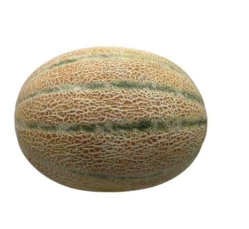 شمام منقاوي حبة وسط