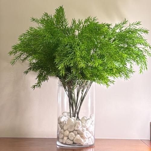 سعف الأسباراجس