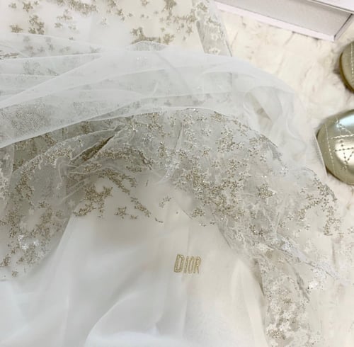 فستان ديور مكلل بلمعة فخم