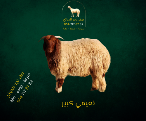 نعيمي جبر العمر 7 شهور