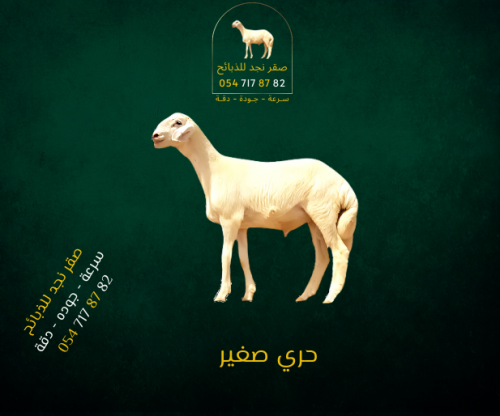 حري صغير العمر من 3-4 شهور