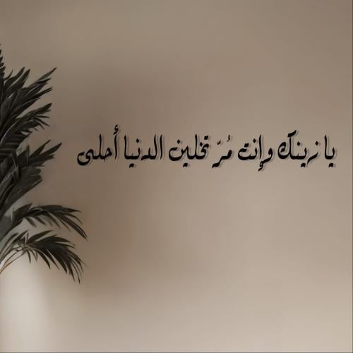 عبارات أكريليك جدارية – "يا زينك وانت مر تخلين الد...