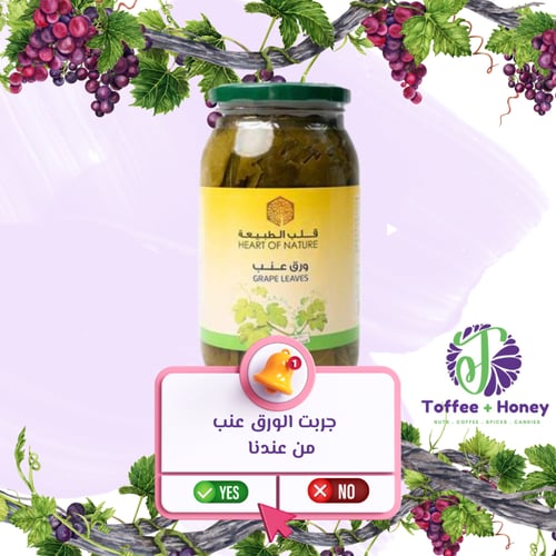 ورق عنب قلب الطبيعة