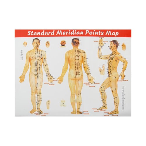 جلوبال ستار شنطة تسخين احجار مساج 16 قطعة من الاحج...