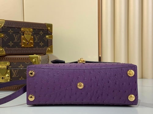 لوي فيتون Rose des vents mini مقاس27