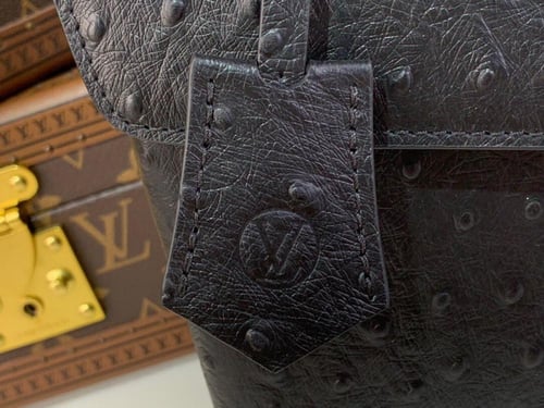 لوي فيتون Rose des vents mini مقاس27cm