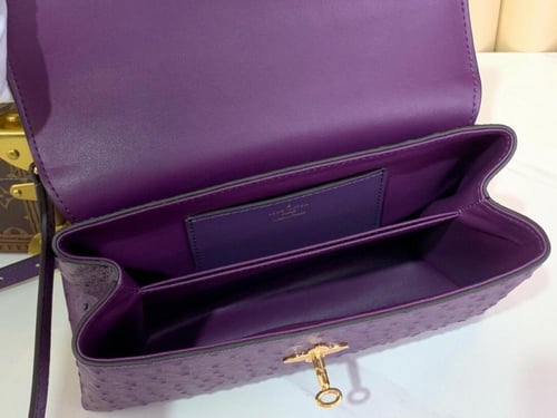لوي فيتون Rose des vents mini مقاس27