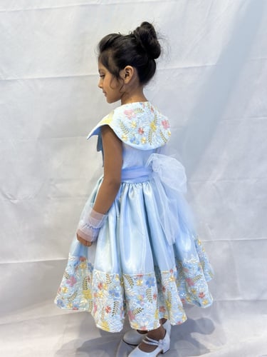 فستان فراشة بلوتشر