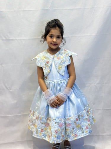 فستان فراشة بلوتشر