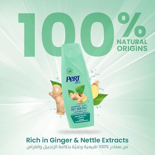 برت-بلس شامبو لساقط الشعر بالزنجبيل 400 مل