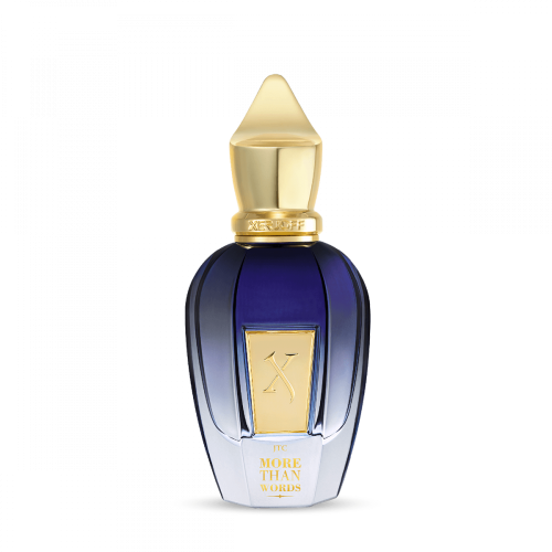 Zirjov More Than Words Eau de Parfum 100 ml