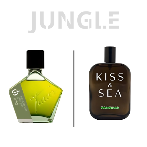 عطر صمام كيس اند سي زنجبار او دو بارفيوم-100مل