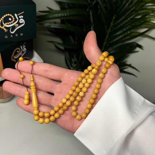 عظم الزرافة - دائري