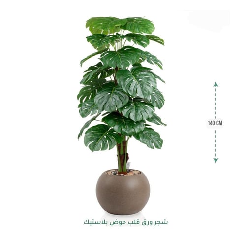 شجرة مونستيرا صناعية فاخرة مع حوض ديكوري أنيق متوف...