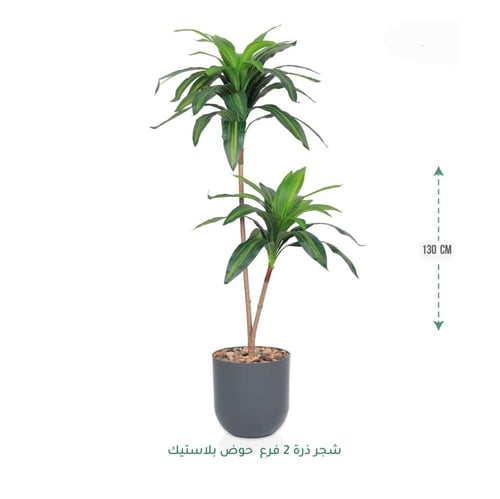 شجرة زينة صناعية فاخرة بأوراق طبيعية وألوان حوض عص...