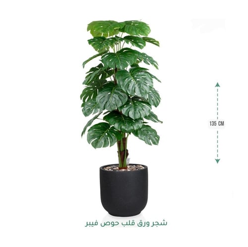 شجرة مونستيرا صناعية فاخرة بحوض فايبر أنيق متوفر و...