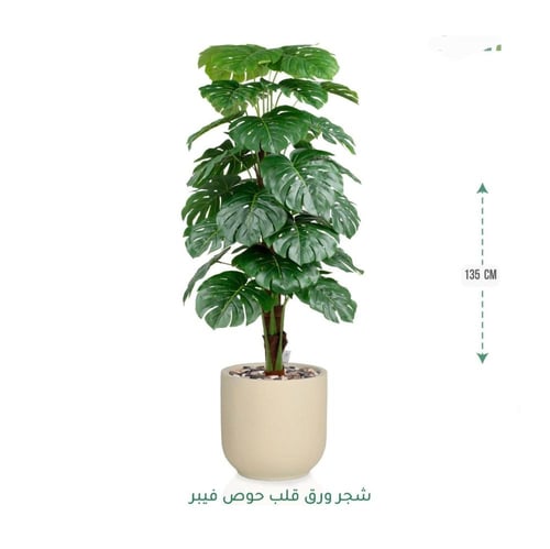 شجرة مونستيرا صناعية فاخرة بحوض فايبر أنيق متوفر و...