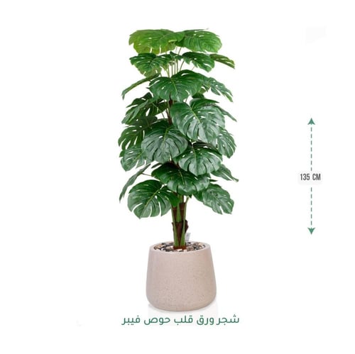 شجرة مونستيرا صناعية فاخرة بحوض فايبر أنيق متوفر و...