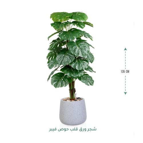 شجرة مونستيرا صناعية فاخرة بحوض فايبر أنيق متوفر و...