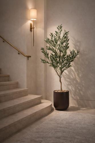 شجرة زيتون صناعية أنيقة بحوض بلاستيك فاخر متوفر وأ...