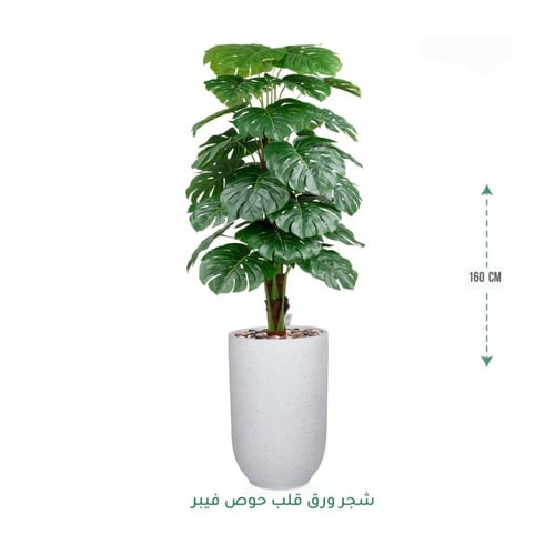 شجرة مونستيرا صناعية فاخرة في حوض أرضي أنيق متوفر...